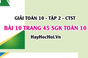 Giải bài 10 trang 45 Toán 10 tập 2 SGK Chân trời sáng tạo